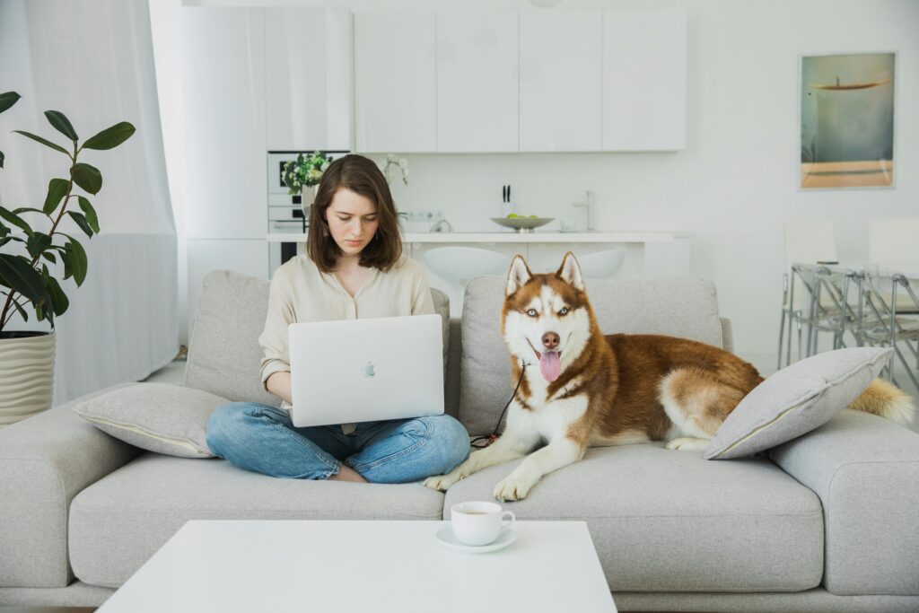 Woman working on her computer while red husky lays on the couch